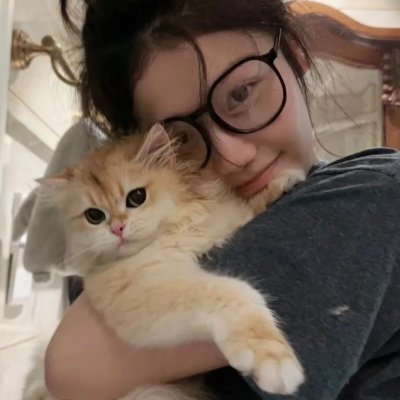 网美嬉游记